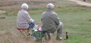 Syg Og Pension